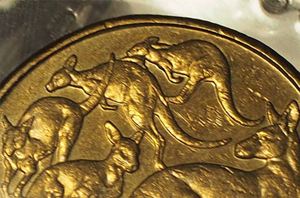Has-Anyone-Found-Rabbit-Ears-On-A-2010-$1-Mob-Yet?