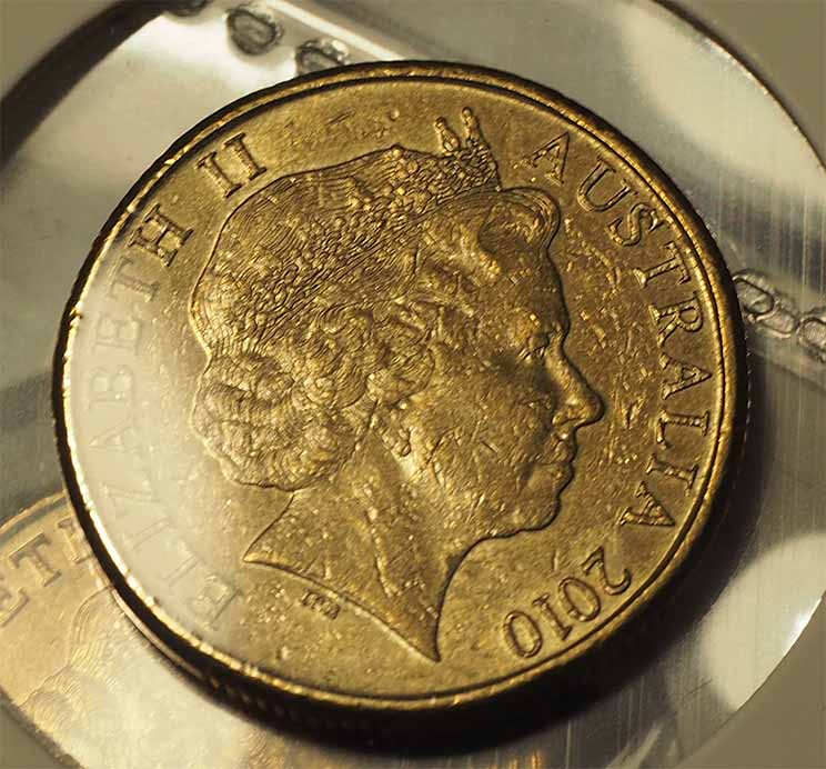 Has-Anyone-Found-Rabbit-Ears-On-A-2010-$1-Mob-Yet?