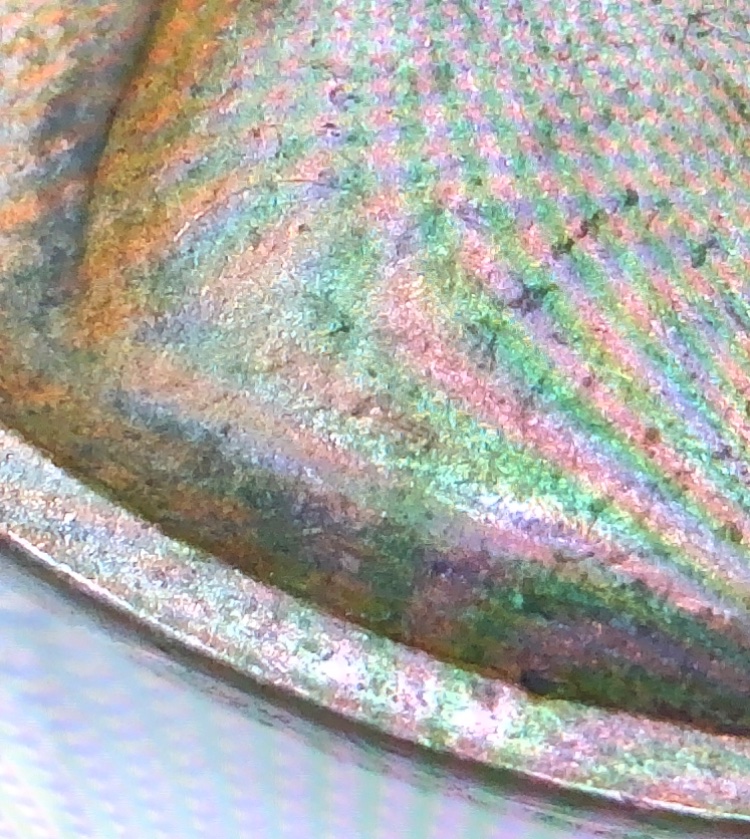 1909-Wheat-Penny.-1909-Very-Visible.-Need-Help-On-Initials.