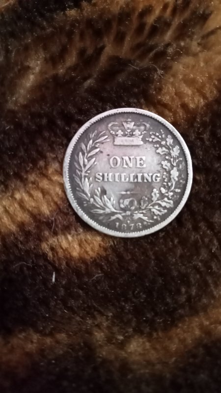 What-Can-I-Learn-About-These-New-Zealand-Shillings?