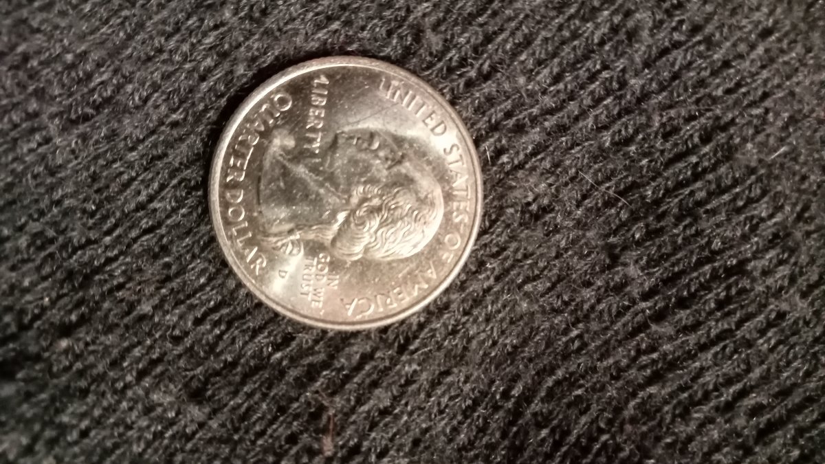 In-Way-Over-Her-Head-Kiwi,-Looking-For-Information-Please-On-1999-U-S-Quarter