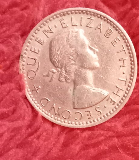 One-Of-My-Kiwi-Coins!