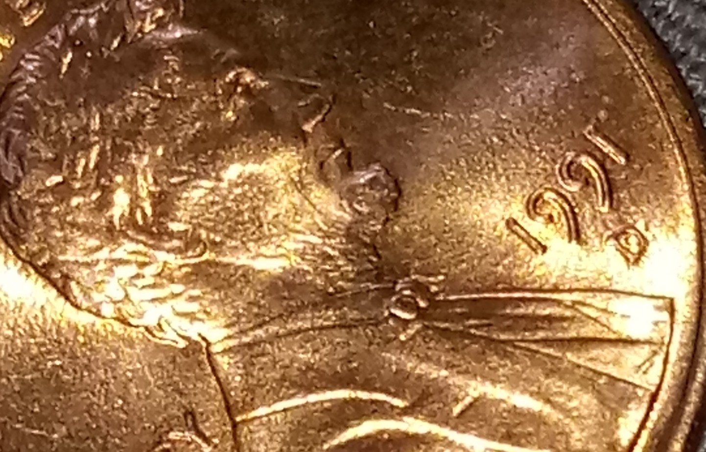 Not-Sure-Exactly-What-I-Have-1991-D-Penny-If-Its-DD