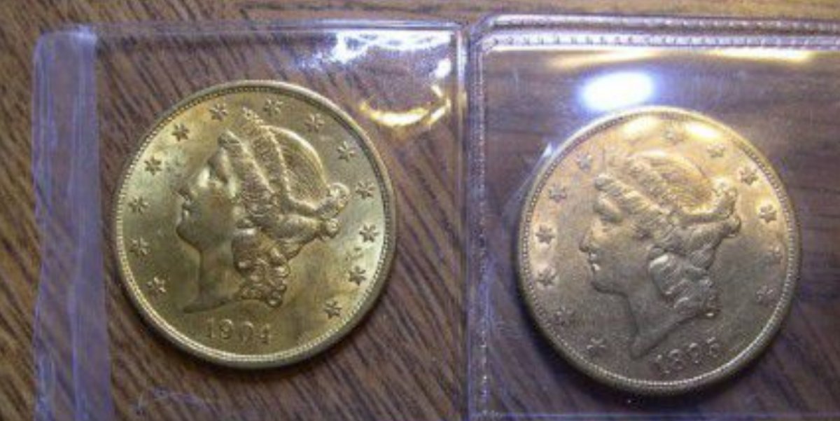 1904-And-1895-S-$20-Gold-Anything-Stand-Out-To-You?