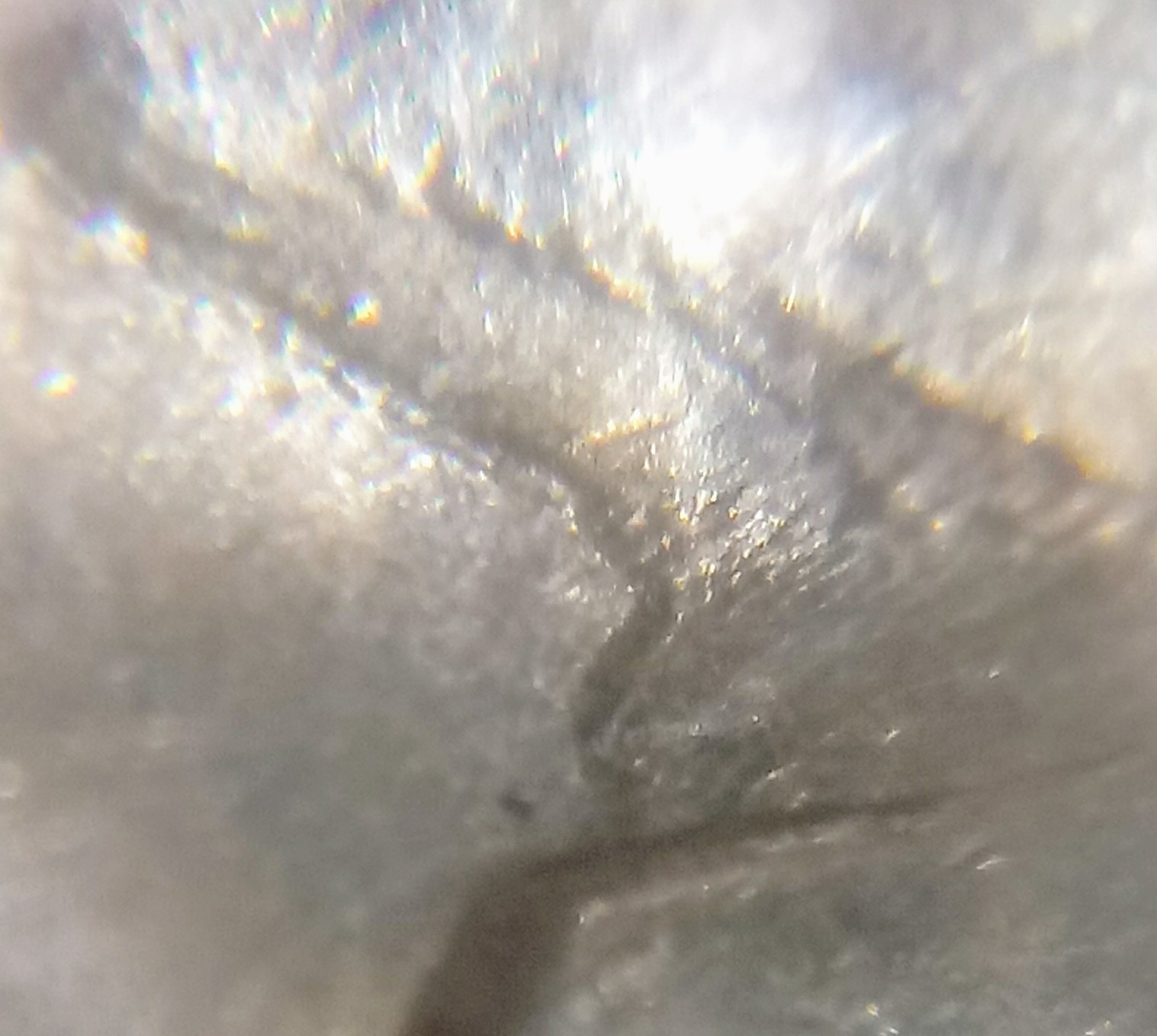 1960-Jefferson-Nickel-*must-See*--Triple-Do/Triple-Dr?-On-All-Devices