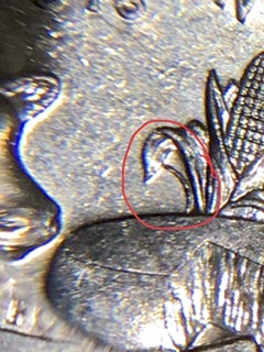 Should-I-Certify-A-2004-Wisconsin-Quarter-That-Has-An-Extra-Leaf-On-It?