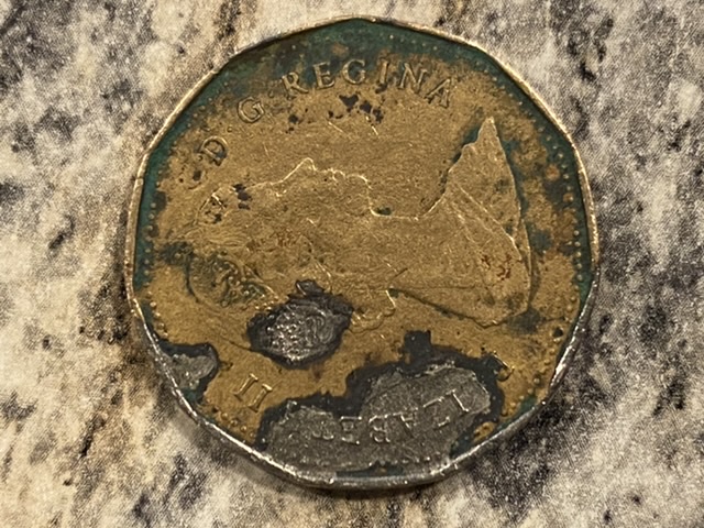 New-To-This...-Wondering-If-This-1989-Loonie-Is-An-Error?