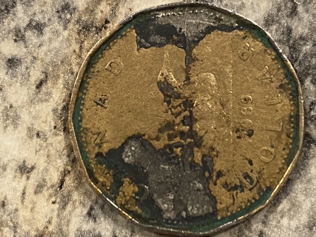 New-To-This...-Wondering-If-This-1989-Loonie-Is-An-Error?