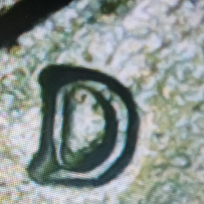 1985-D-Roosevelt-Dime-Doubled?