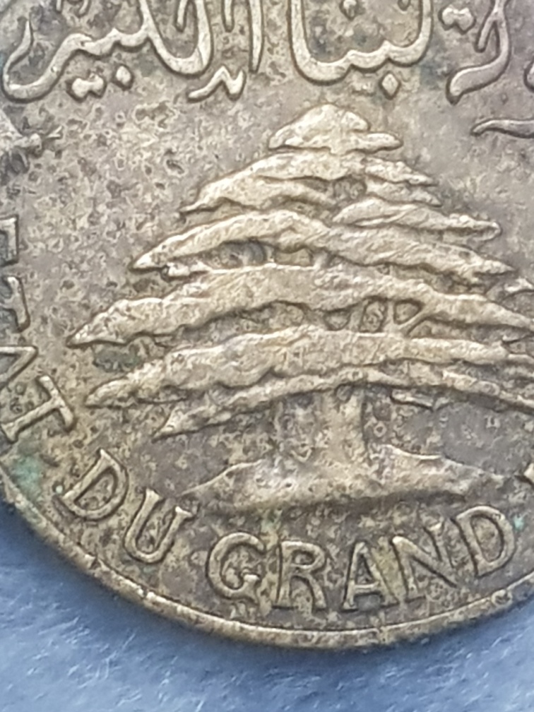Damage-Type-Identification-Help