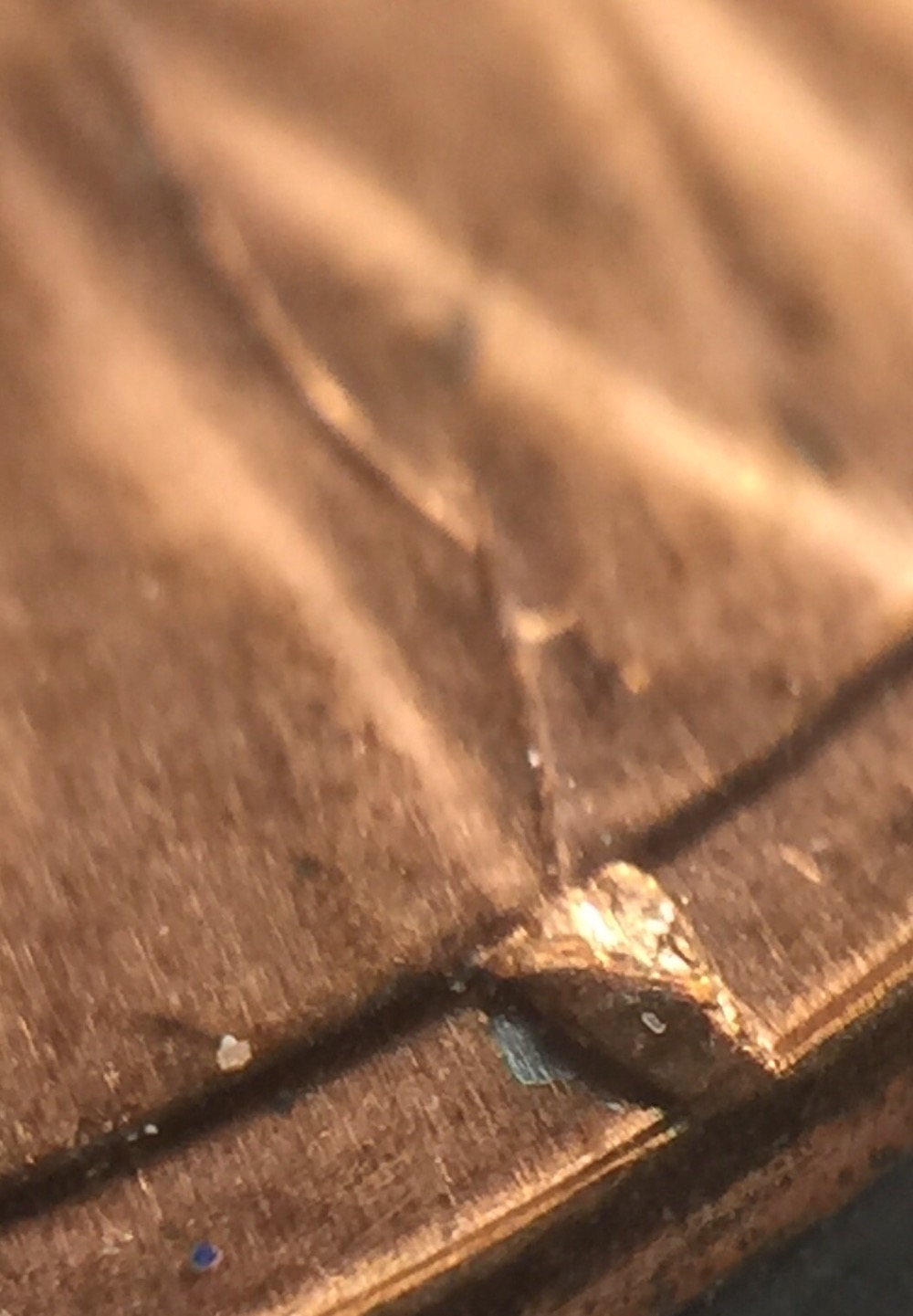 2015-Lincoln-Cent-Reverse-Cud
