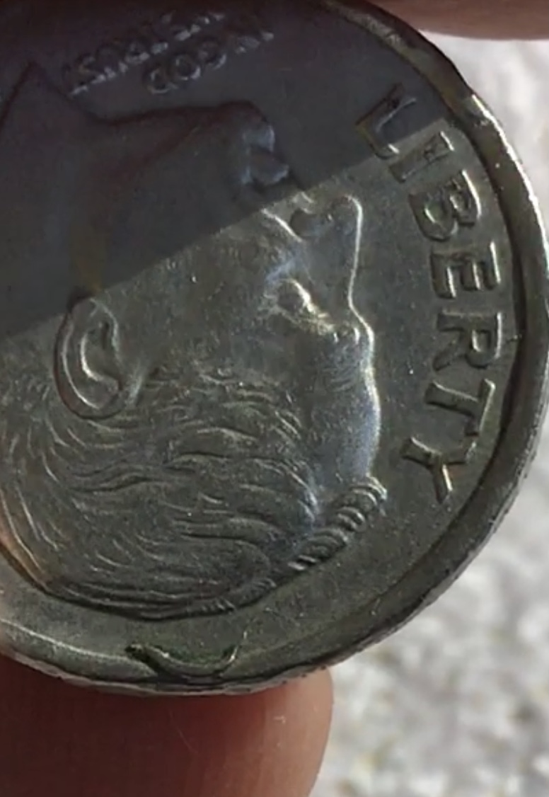 2001-Roosevelt-Dime-Has-A-Strange-Little-Swirl-?