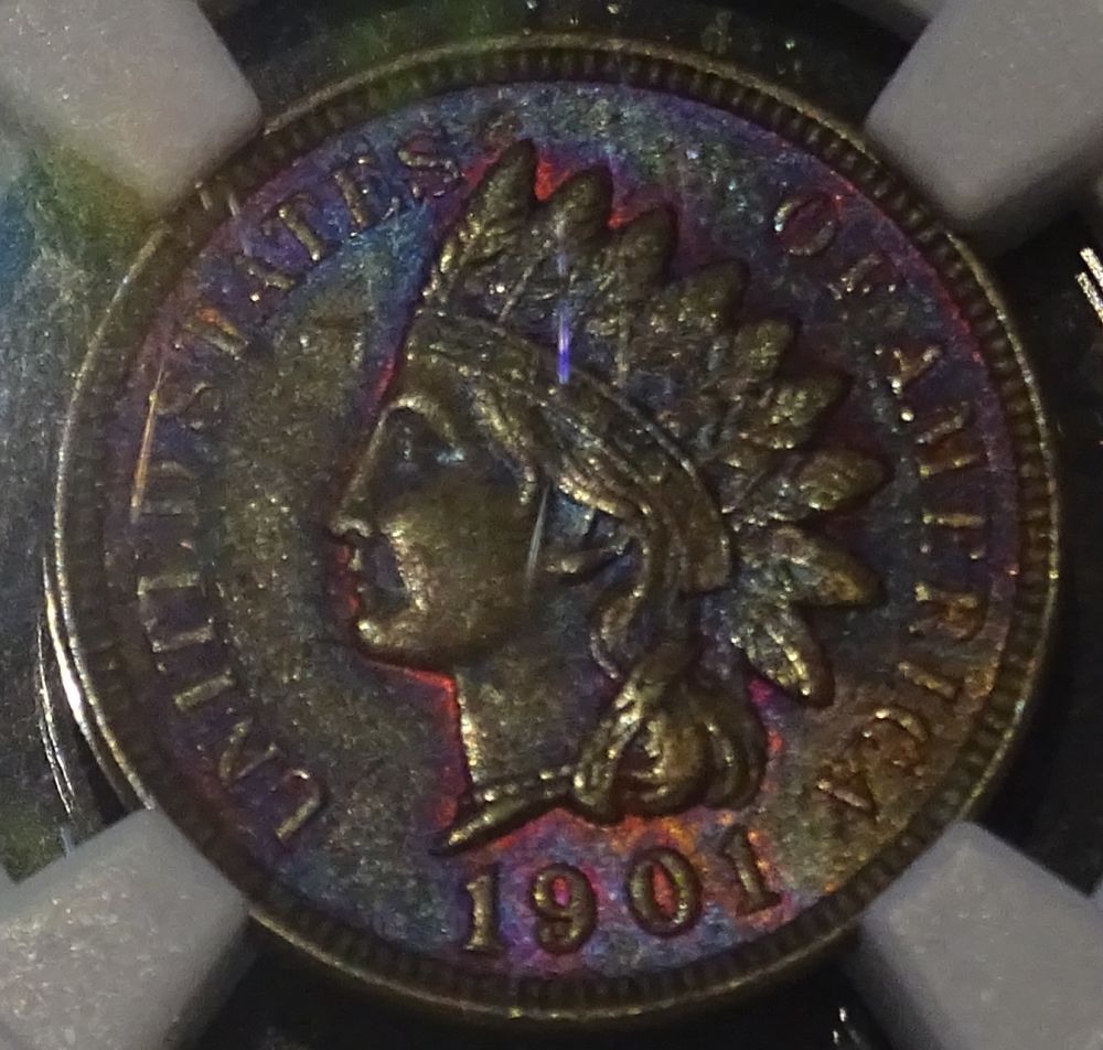 Indian-Cent-Monday-Post-Your-Pics.