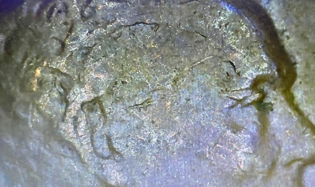 1952-D-Wheat-Penny-Multiple-Errors