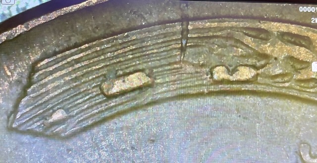 1956-Wheat-Penny-Wheat-Errors-On-Reverse