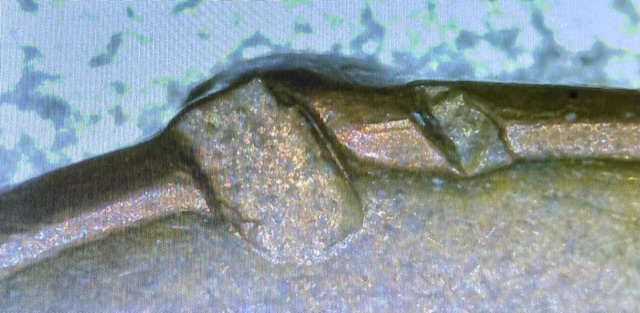 1960-D-Lincoln-Cent-Damage/Error?