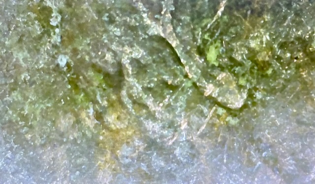 1988-Lincoln-Cent-Double-Ear?