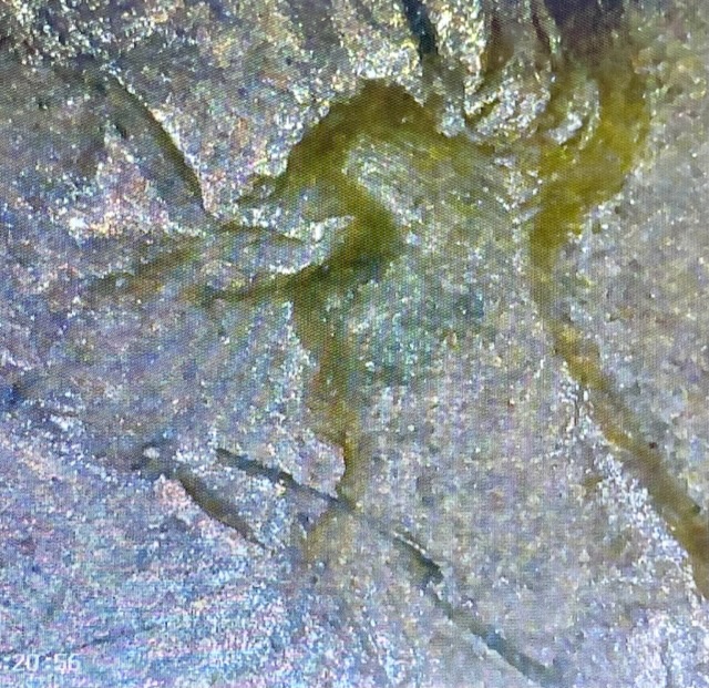 1952-D-Wheat-Penny-Rim-Error