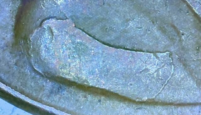 1955-Wheat-Penny-Liberty-Misprint?-Other-Errors