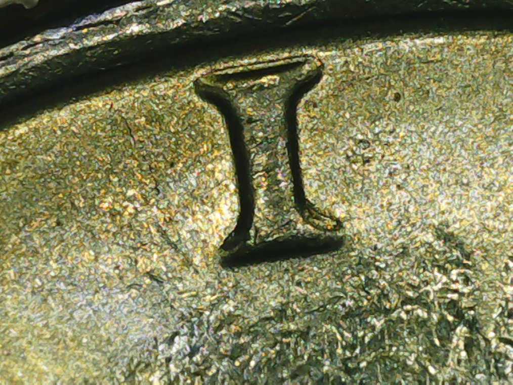 1989-Kennedy-Half-Dollar.--What-Kind-Of-Doubling-Is-This?--Please-Help.