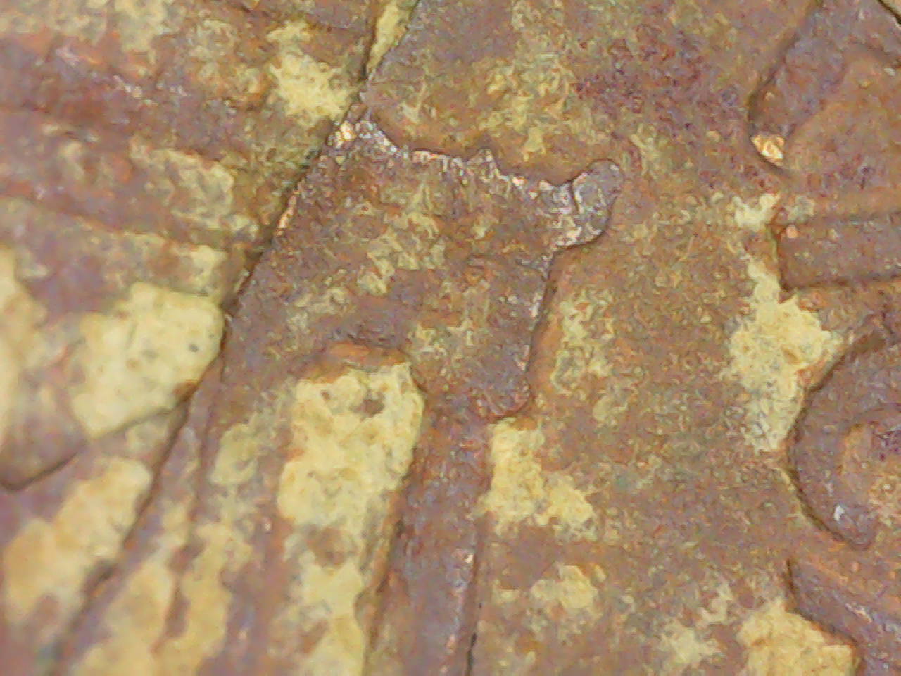 1966-Lincoln-Penny,-Lamination-Error-Across-Obverse-And-?