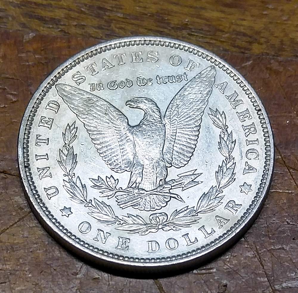 Naturally-Toned-Or-Artificially-Toned?-1925-Peace-Dollar
