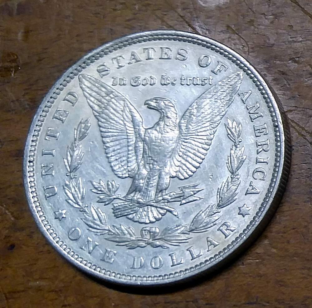 Naturally-Toned-Or-Artificially-Toned?-1925-Peace-Dollar