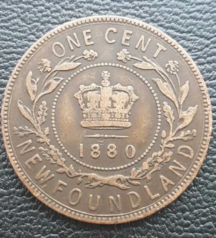 Newfoundland-1880-Oval-O