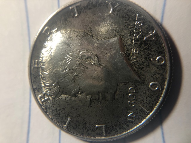 Help-With-Grading-A-1964-Kennedy-Half-Dollar