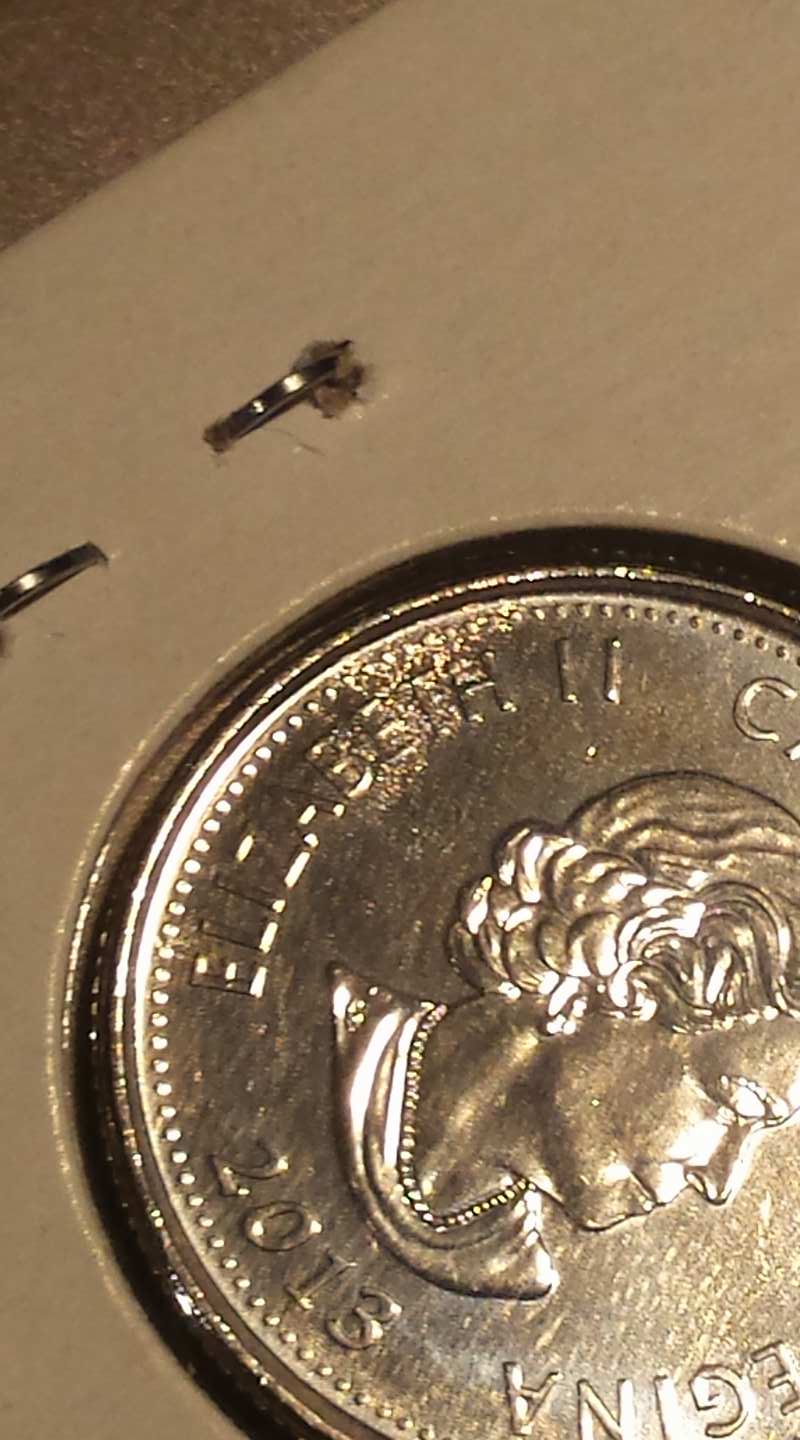 2013-Laura-Secord-Quarter---Obverse-Error?