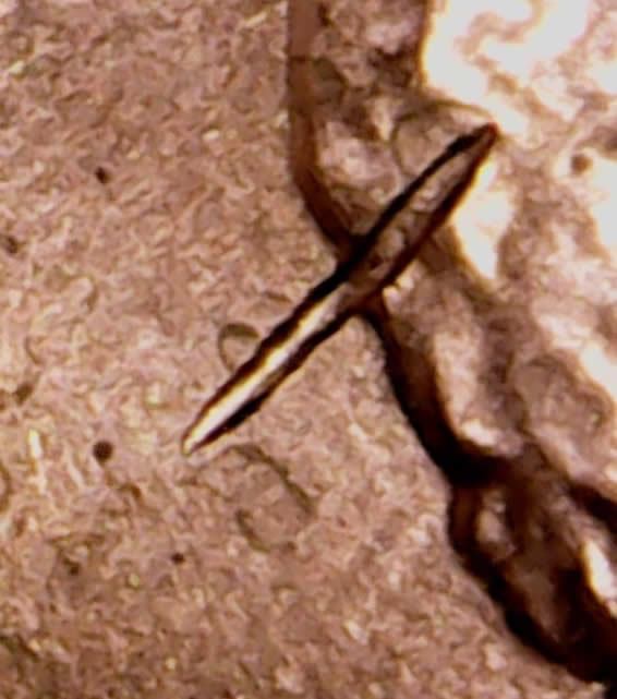 2011-LSC-Struck-Through-Or-PMD