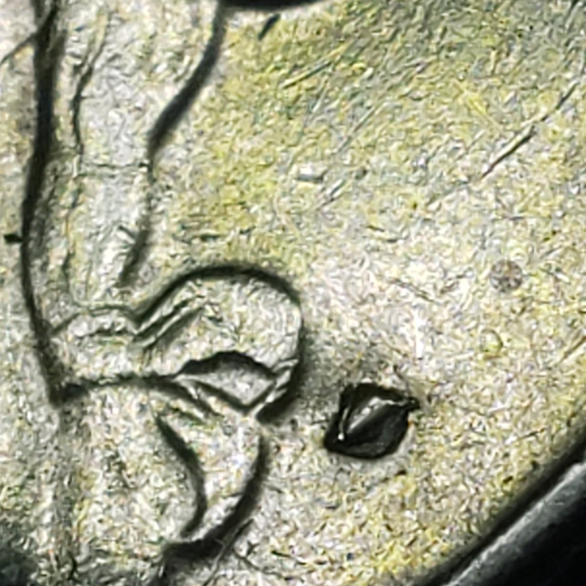 Denver-Mint-Bicentennial-Mint-Mark-Error?