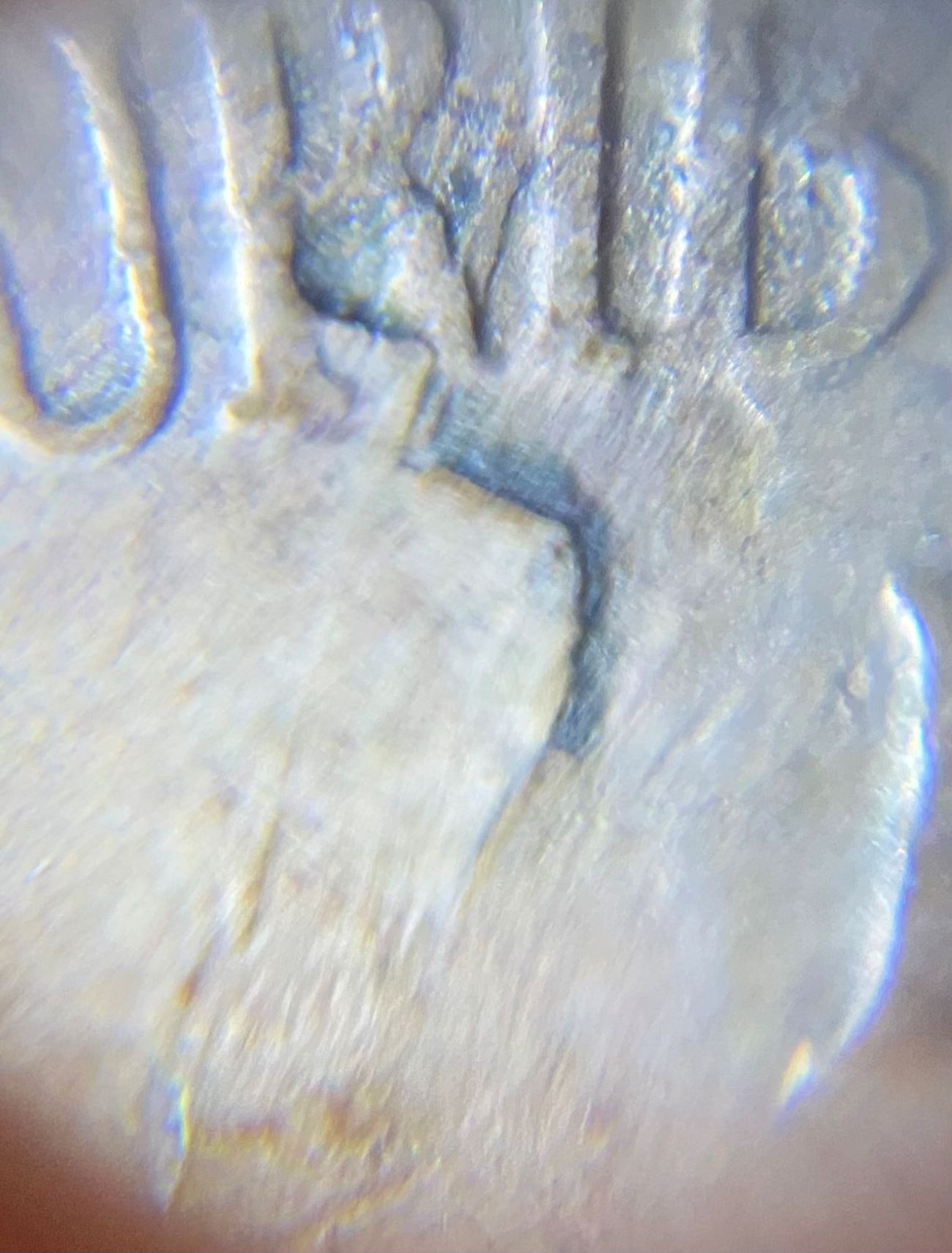 Extra-Monticello-On-War-Time-Nickel-1944-D?