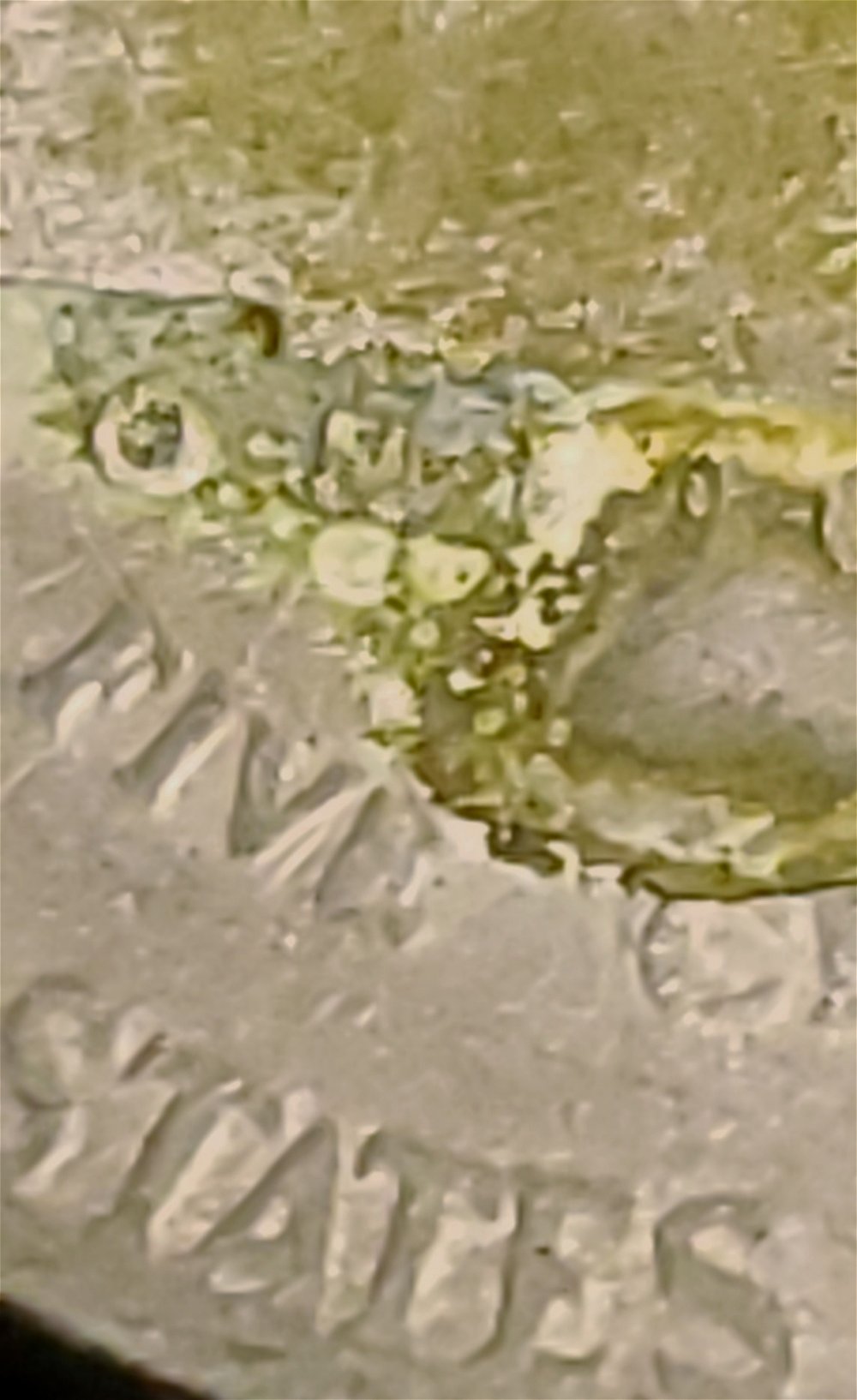 1941-Silver-Nickel-Struck-On-1942-Wartime-Plant?