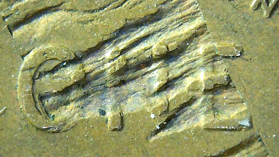 1956-D-1c-Major-Delamination