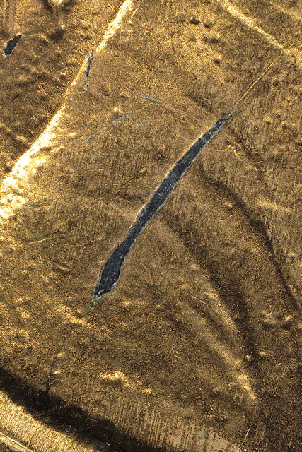 1988-D-1c-Unusual-Plating-Error