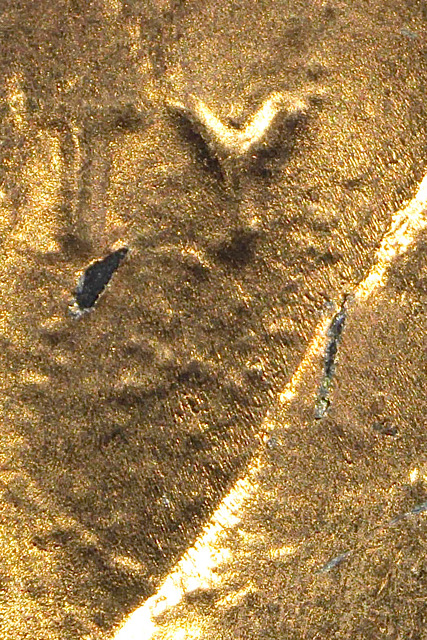 1988-D-1c-Unusual-Plating-Error