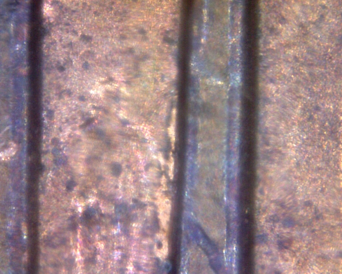2005-D-LMC-New-Discovery-DDR?