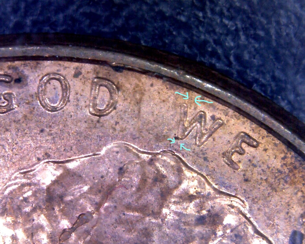 2010-LSC-Spike-Head-Found-CRH.