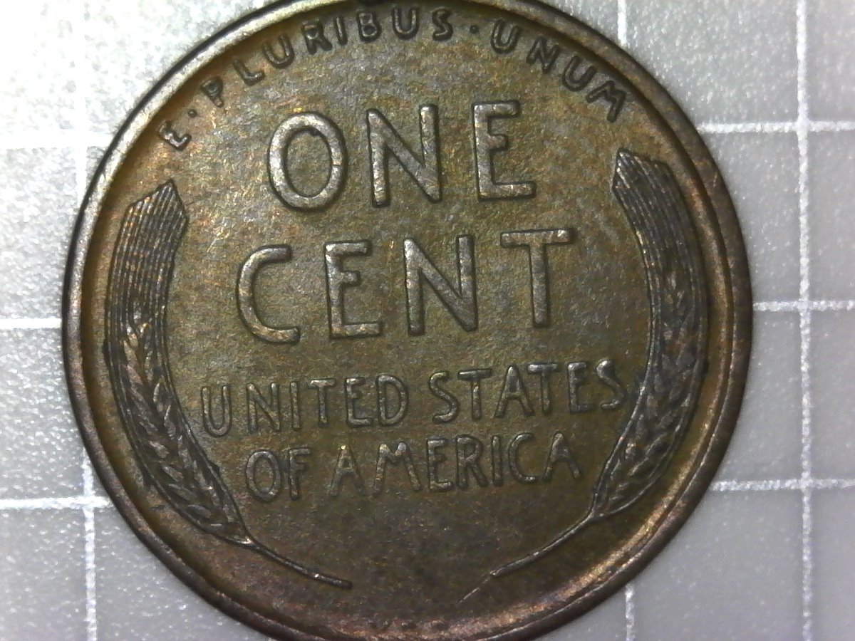 1909-VDB-LWC-Grade-And-Authenticity