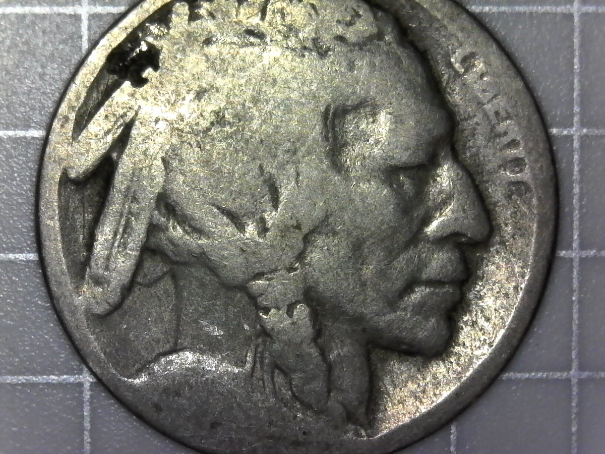 1915-D-Buffalo-Nickel-For-Grading
