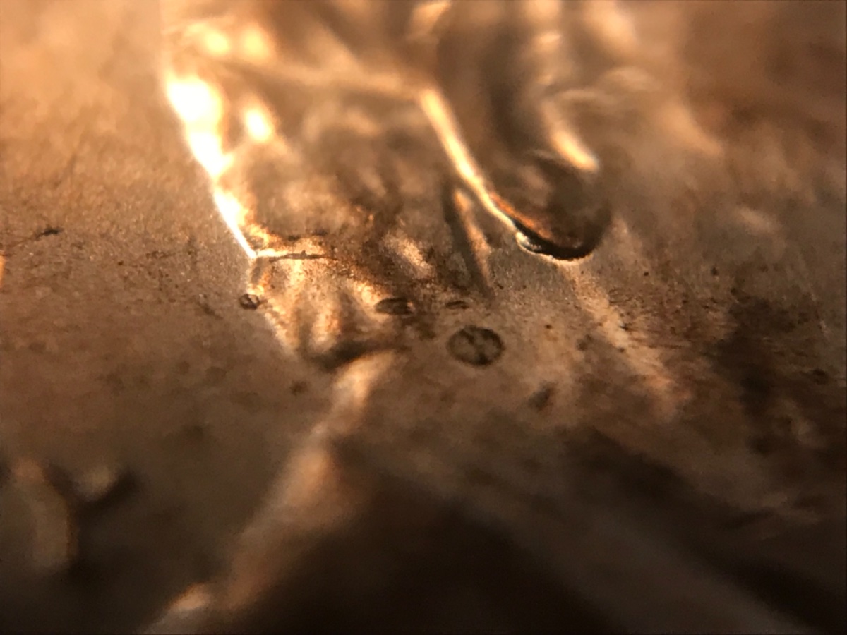 2019-D-LSC--New-Doubled-Ear-Discovery!-Crh