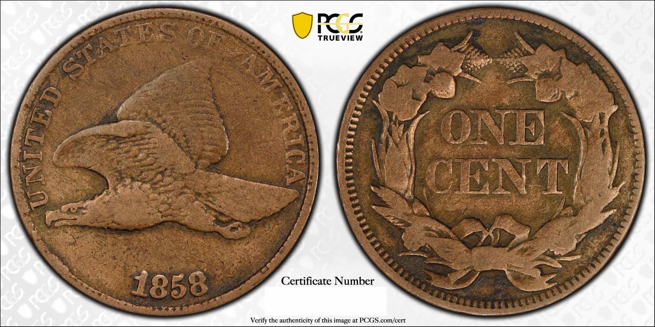 1858/7-Flying-Eagle-Cent--Fresh-From-PCGS!