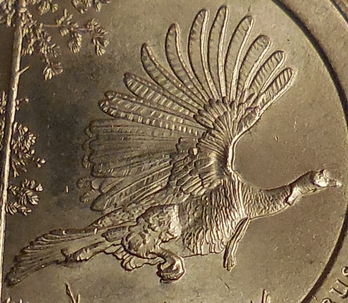 Post-Your-Rarest-Errors-And-Varieties-Coin-Finds!