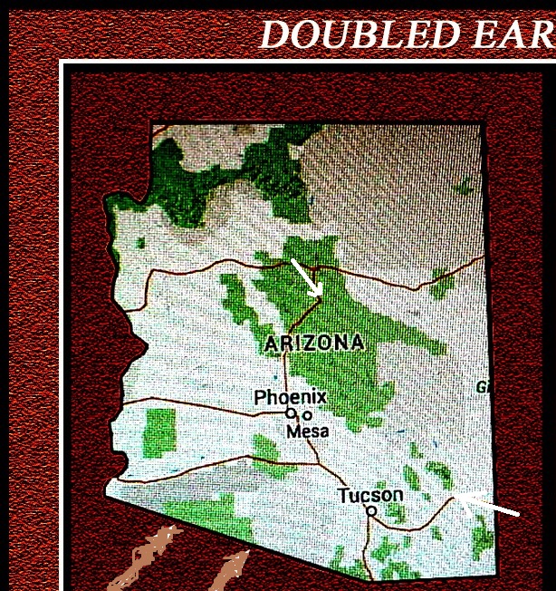 1997-D-Lincoln-Penny-Doubled-Ear