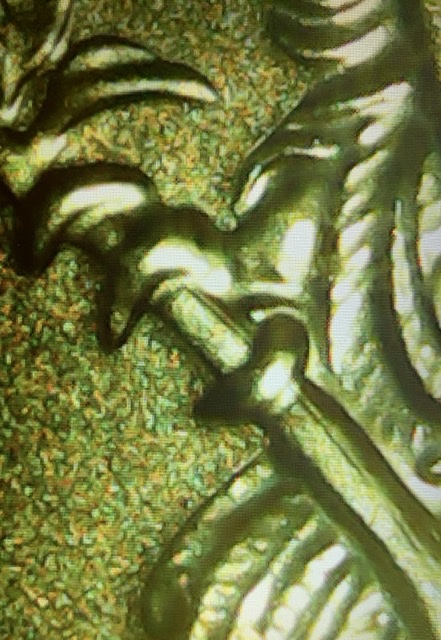 2019-S-Enhanced-Reverse-Proof-American-Silver-Eagle-DDR-RPM?