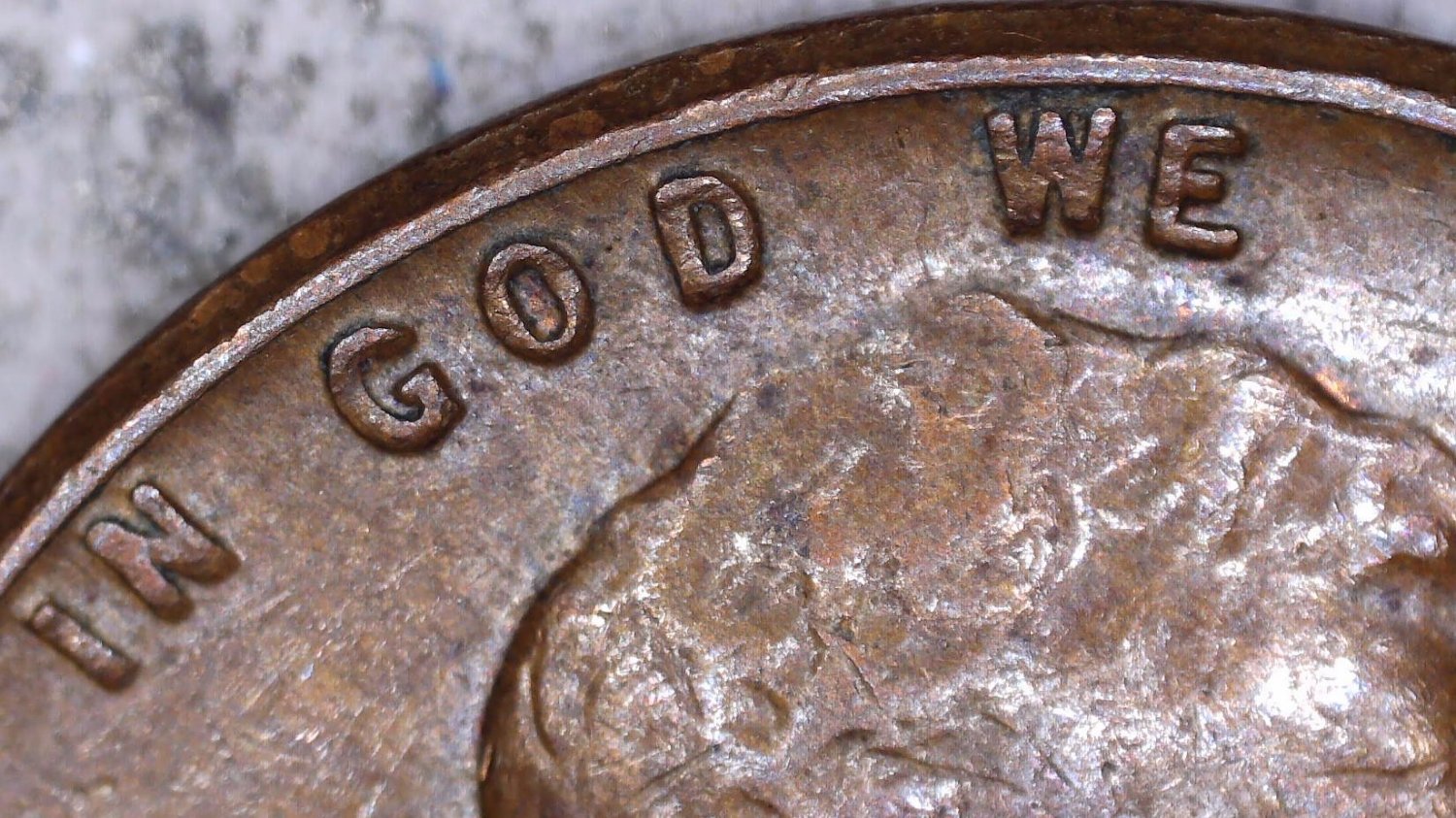 1963-D-LMC-Extra-Eyelid?