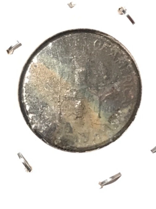 Coinberts-Odd-Dimeberts,-Pretty-Ugly-Roosevelts.-Any-Thoughts?