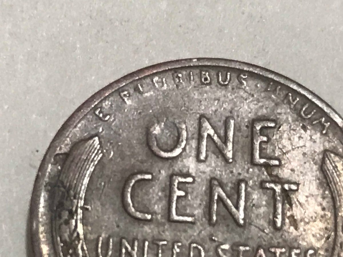 Couple-Of-Wheat-Cents-To-Look-At