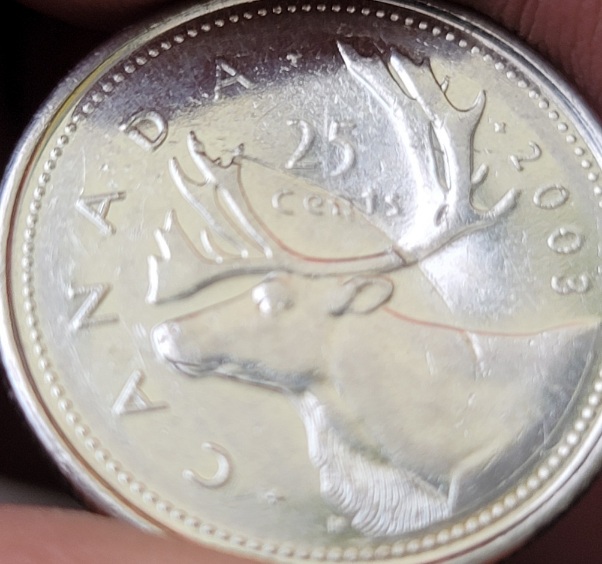 2003-P-Canadian-Coin-Struck-Through?